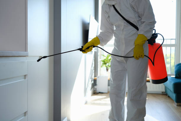 Best Emergency Mold Removal  in Ann Arbor, MI