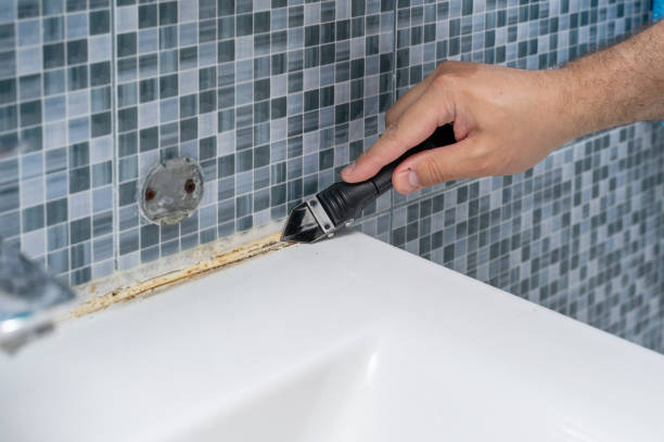 Best Certified Mold Removal  in Ann Arbor, MI